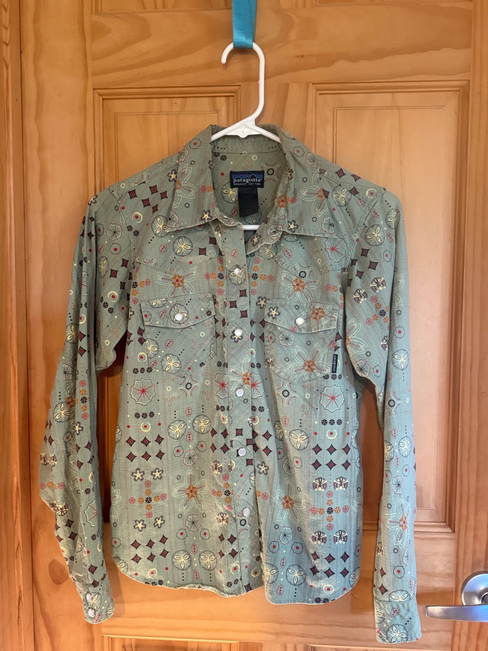 Patagonia Printed Sage Green Button-Down Shirt